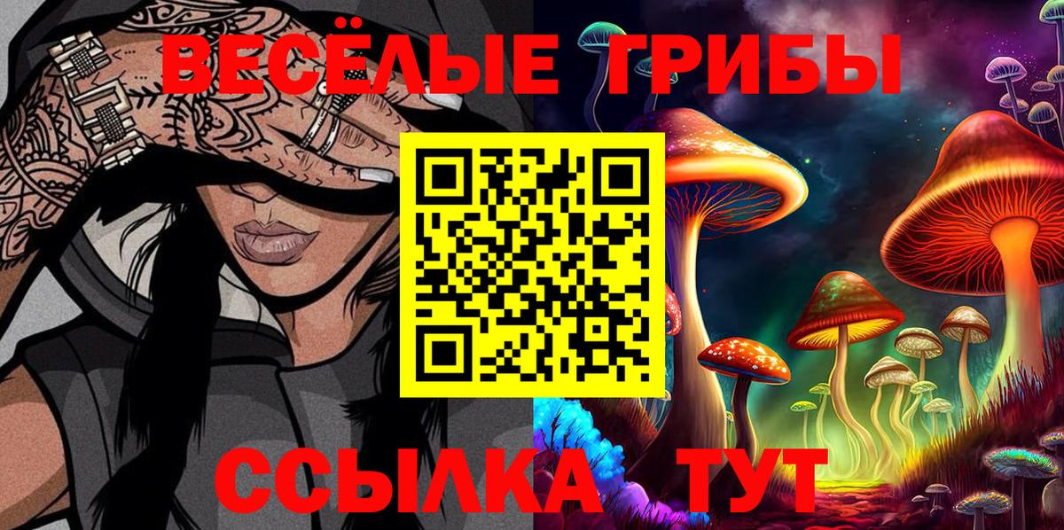 Галлюциногенные грибы Psilocybe  Вход с VPN  Краснознаменск  Галлюциногенные грибы прущие грибы 